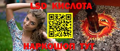a pvp Заводоуковск