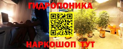 спиды Жуковский