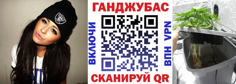 blacksprut как войти  Людиново  Шишки марихуана сатива 